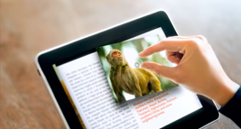 service 1 1